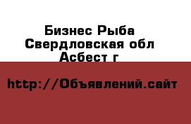 Бизнес Рыба. Свердловская обл.,Асбест г.